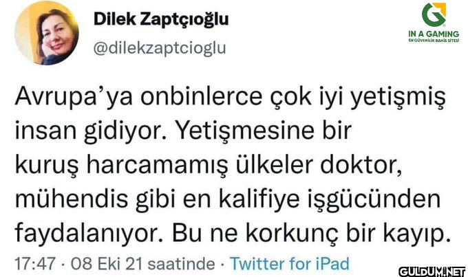 Dilek Zaptçıoğlu...