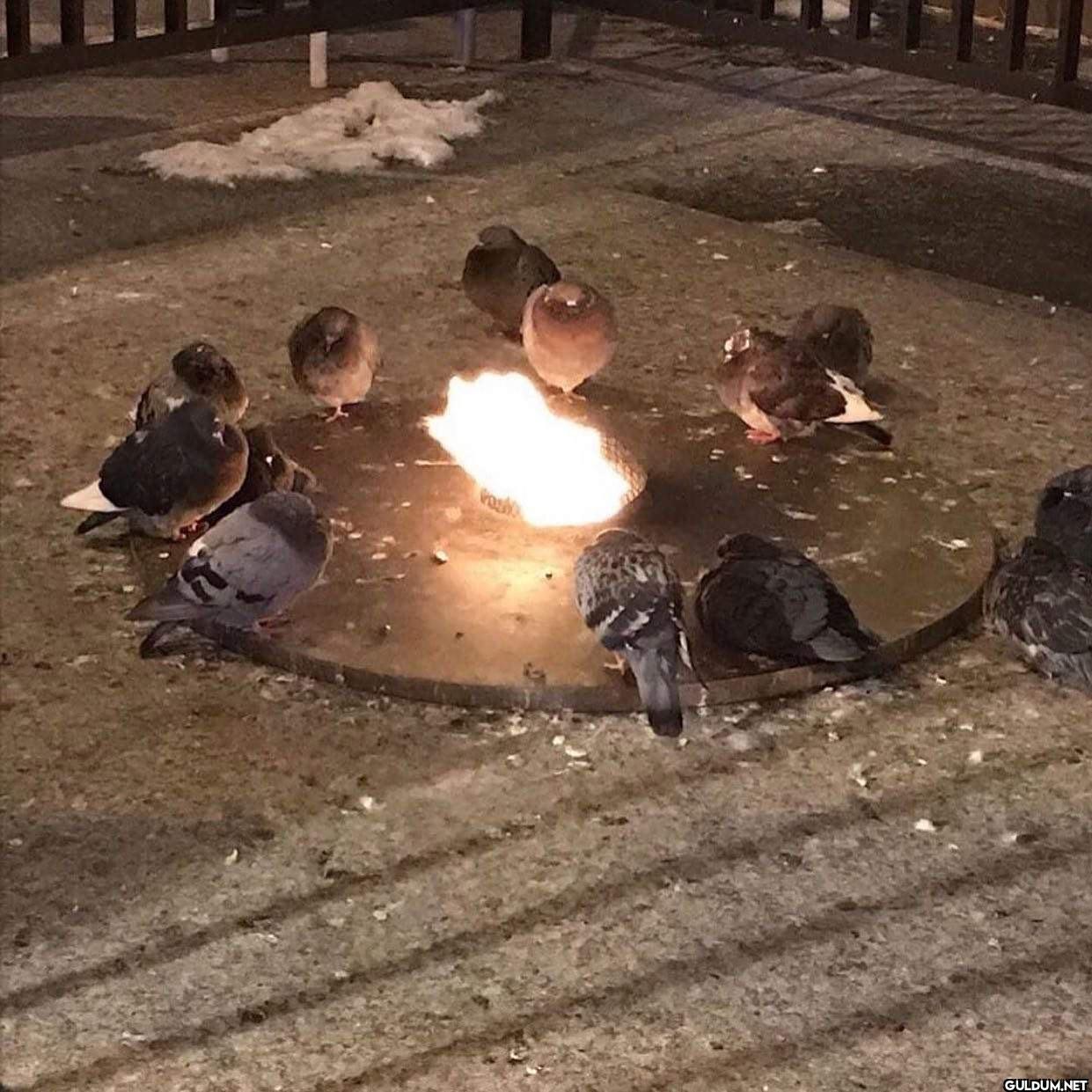 İçkiliydi Bilmem Ne on...