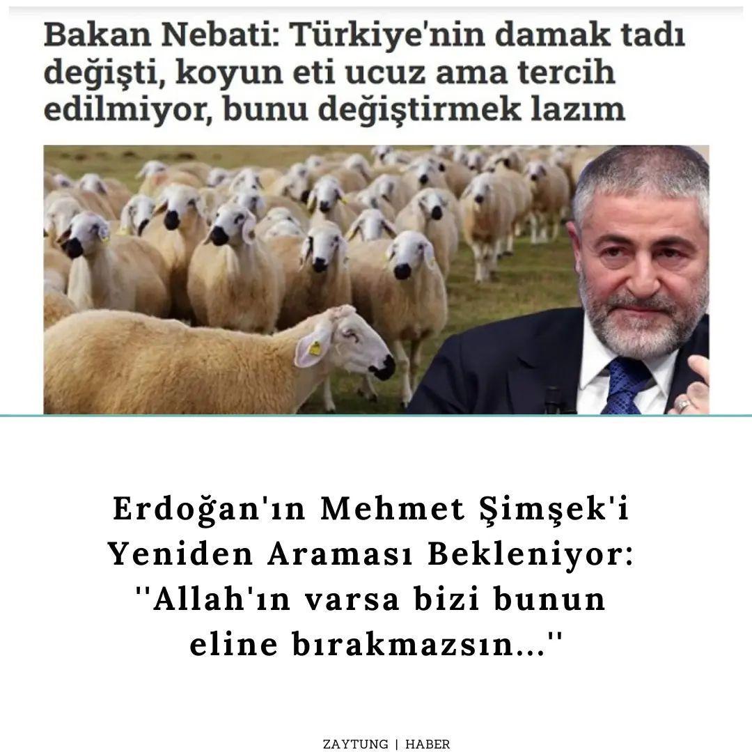 Zaytung Resmi Hesabı on...