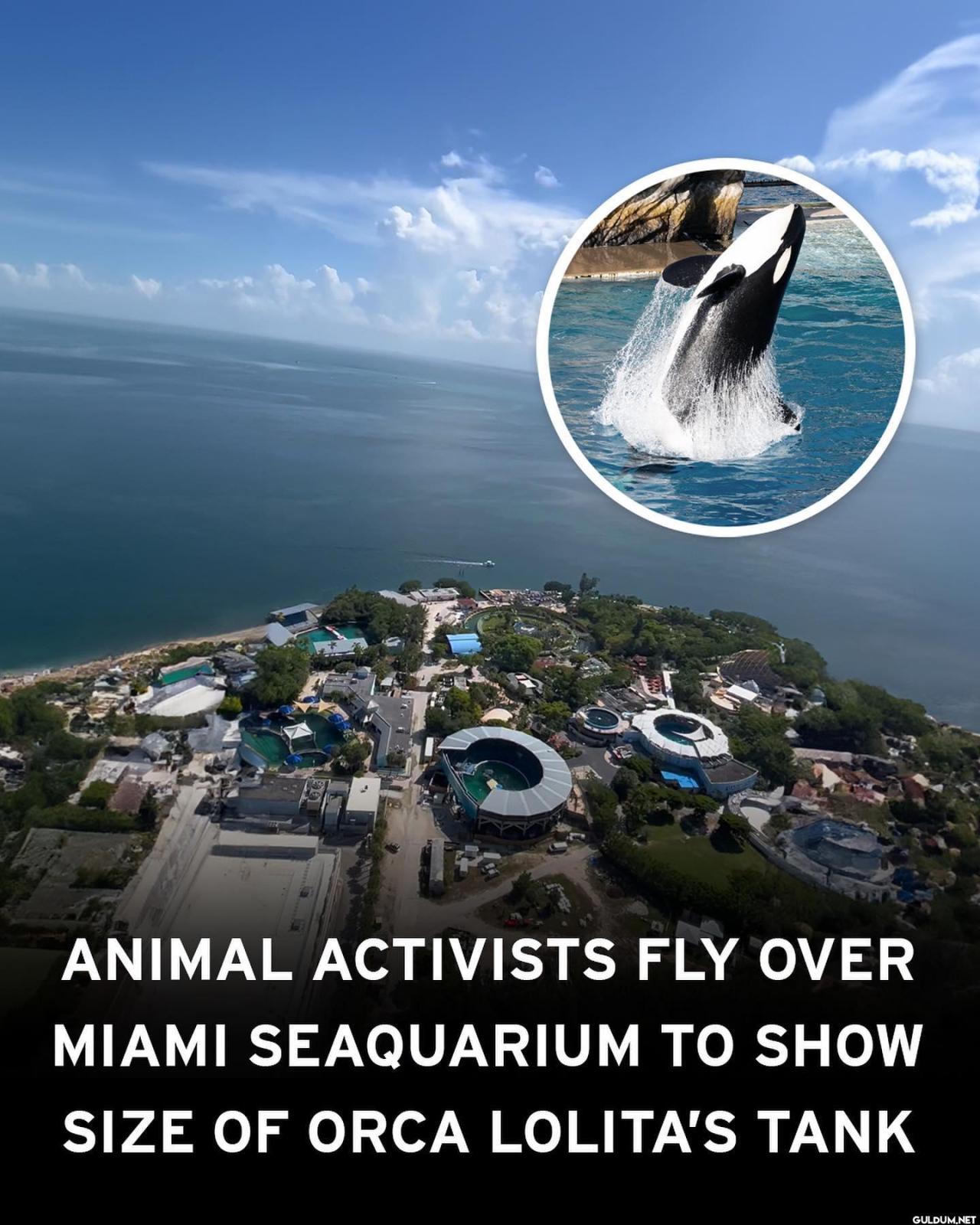 A video published by...