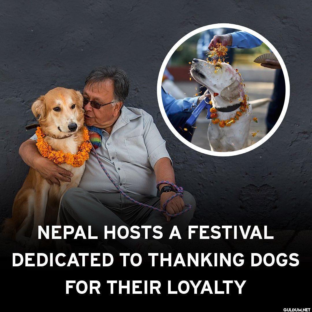 The Nepalese festival...