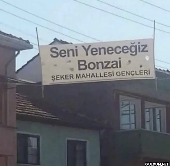 Seni Yeneceğiz Bonzai...