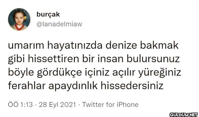 burçak @lanadelmiaw umarım...