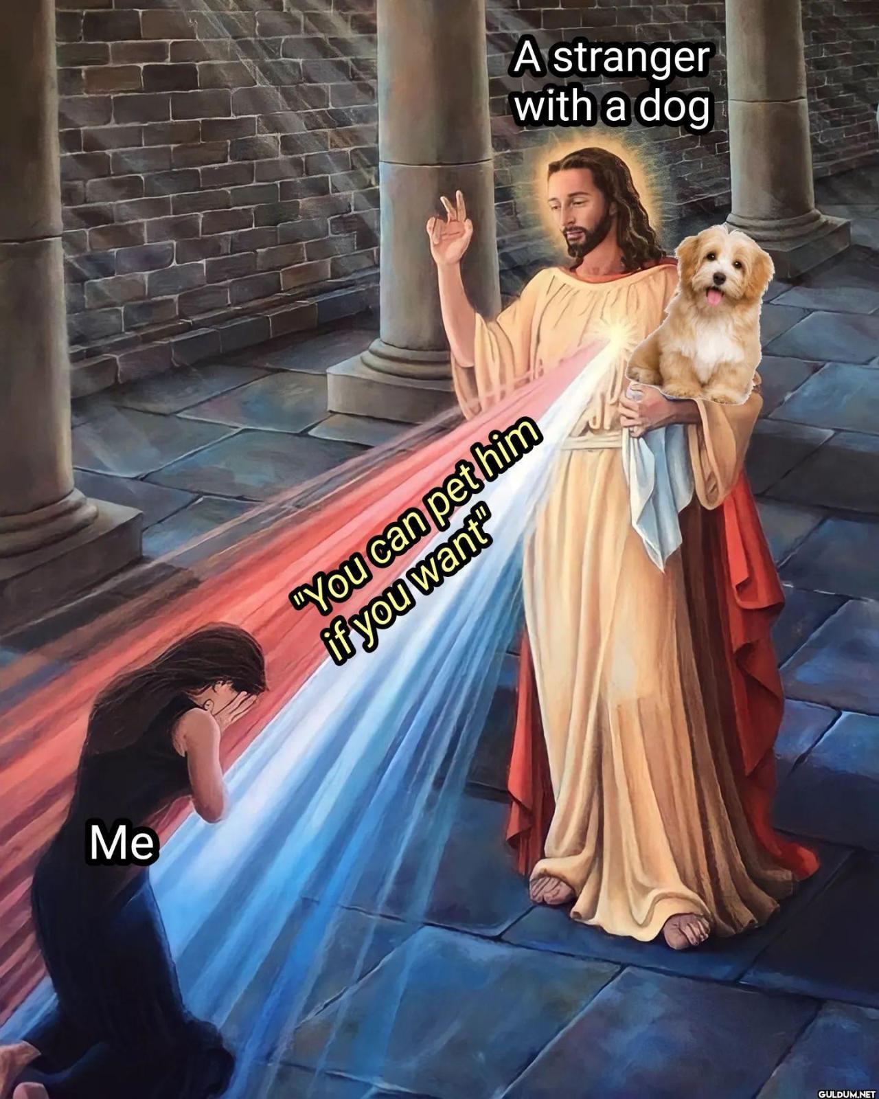 ART MEMES CENTRAL✨ on...