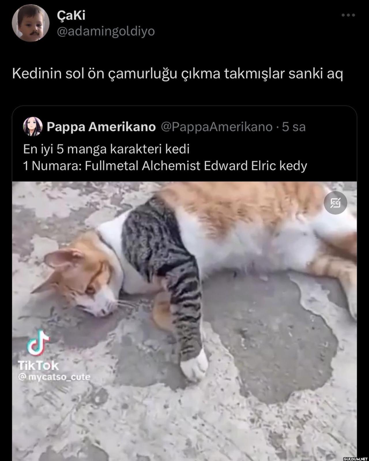 MEMDMEMDÖEMFÖEMDMDMFMEMFÖEÖ...