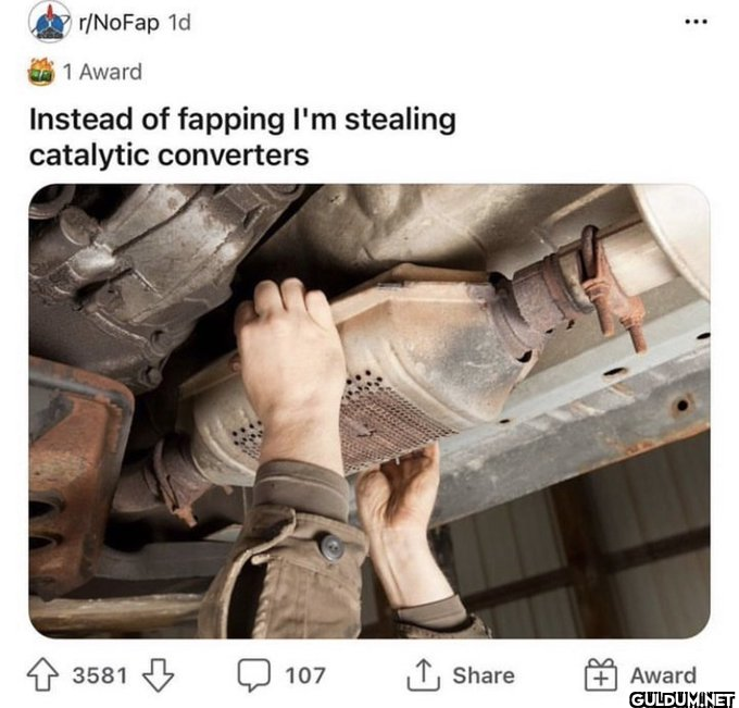 r/NoFap 1d 1 Award Instead...