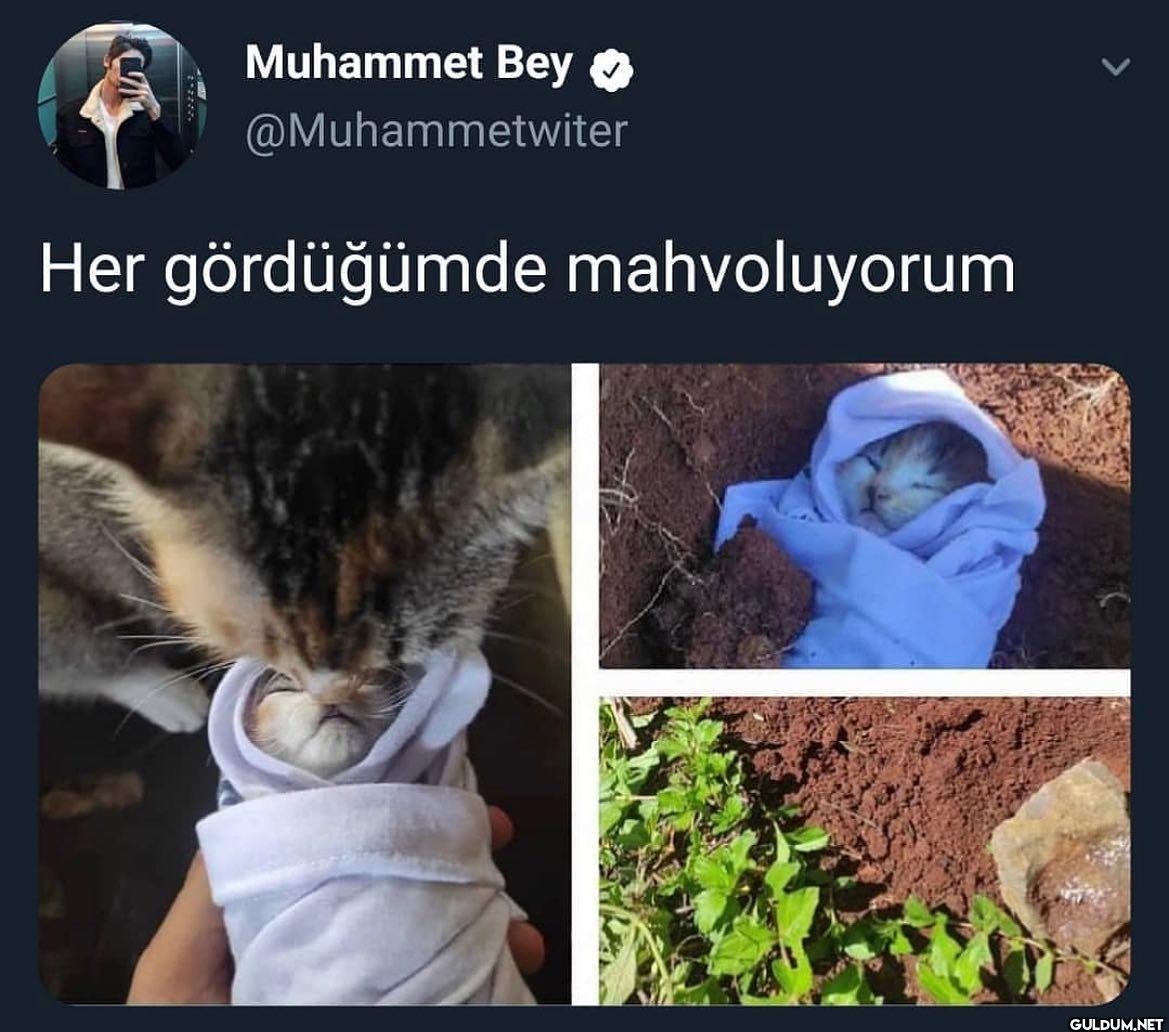 Muhammet Twitter on August...