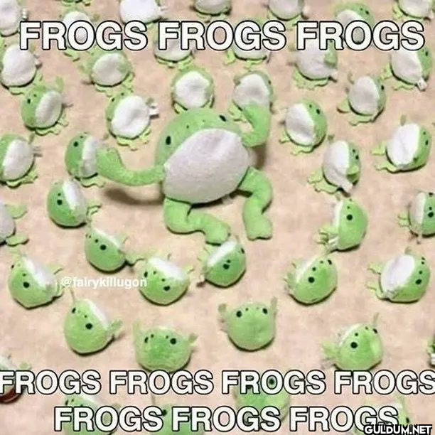 FROGS FROGS FROGS...