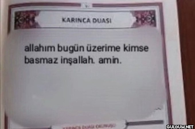 KARINCA DUASI allahım...