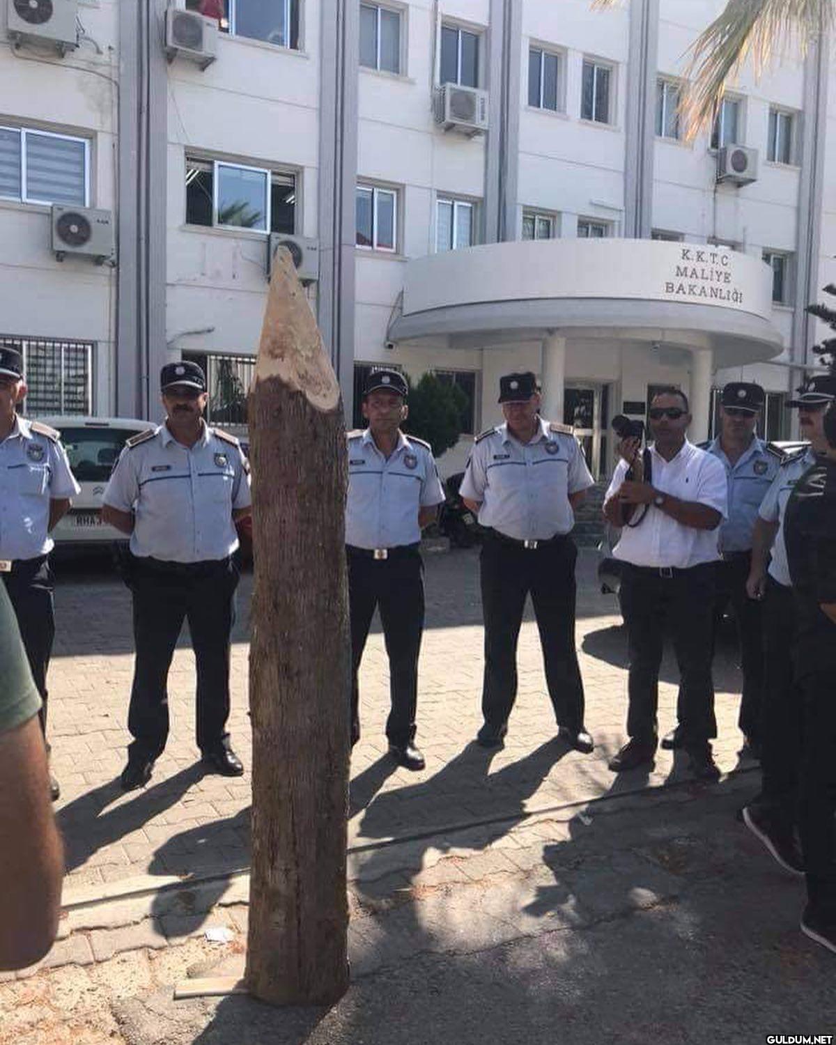 anlamsız fotoğraflar 9938 ...