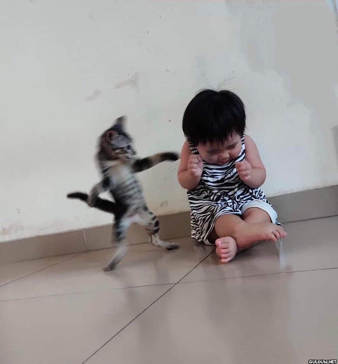 anlamsız fotoğraflar 7883 ...