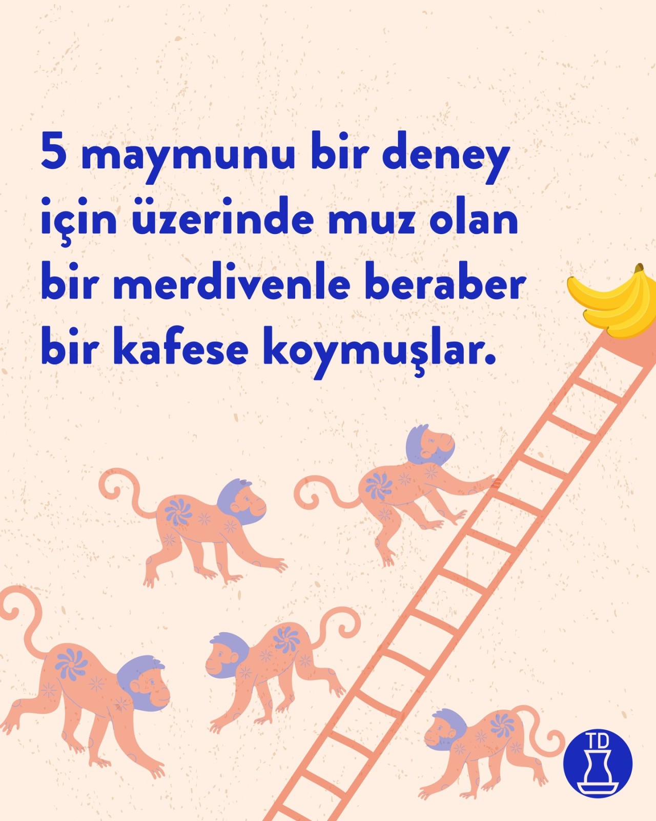 Sizce de sorgulamadan...