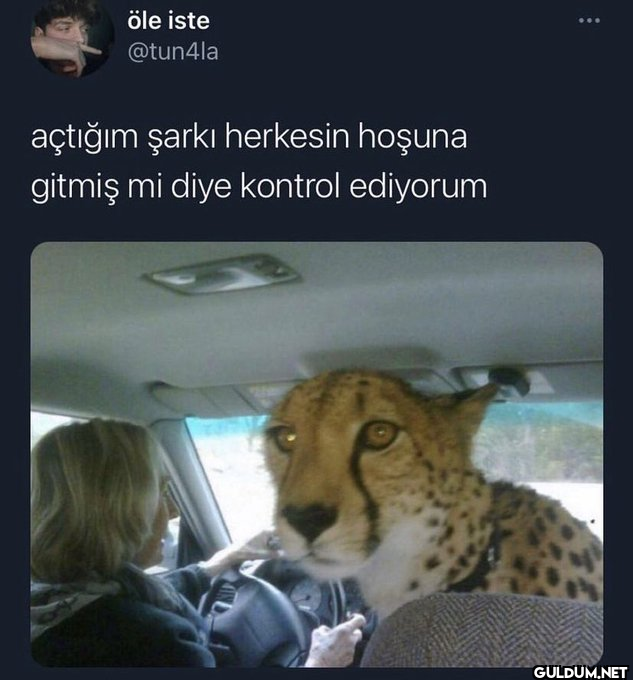 öle iste @tun4la açtığım...