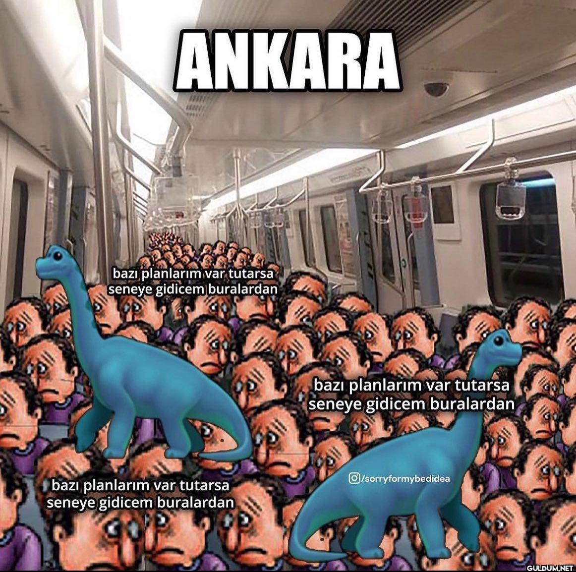 undefined   2311 ANKARA...