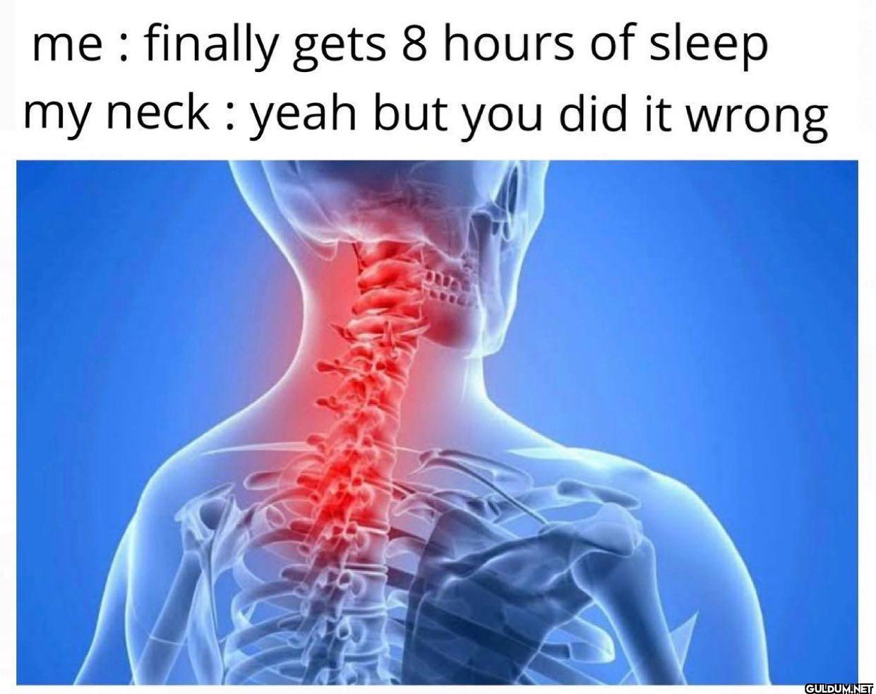 freud.intensifies on...
