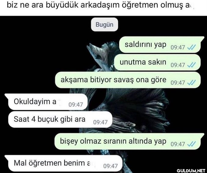 biz ne ara büyüdük...