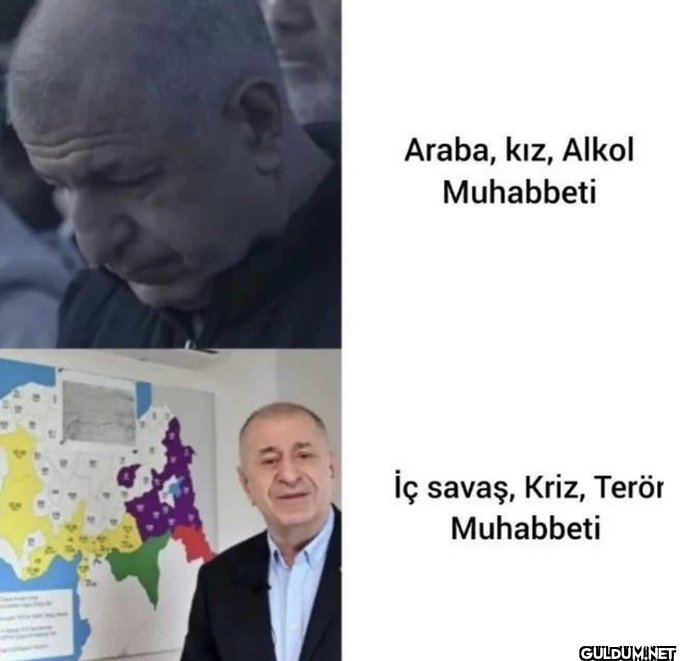 Araba, kız, Alkol...