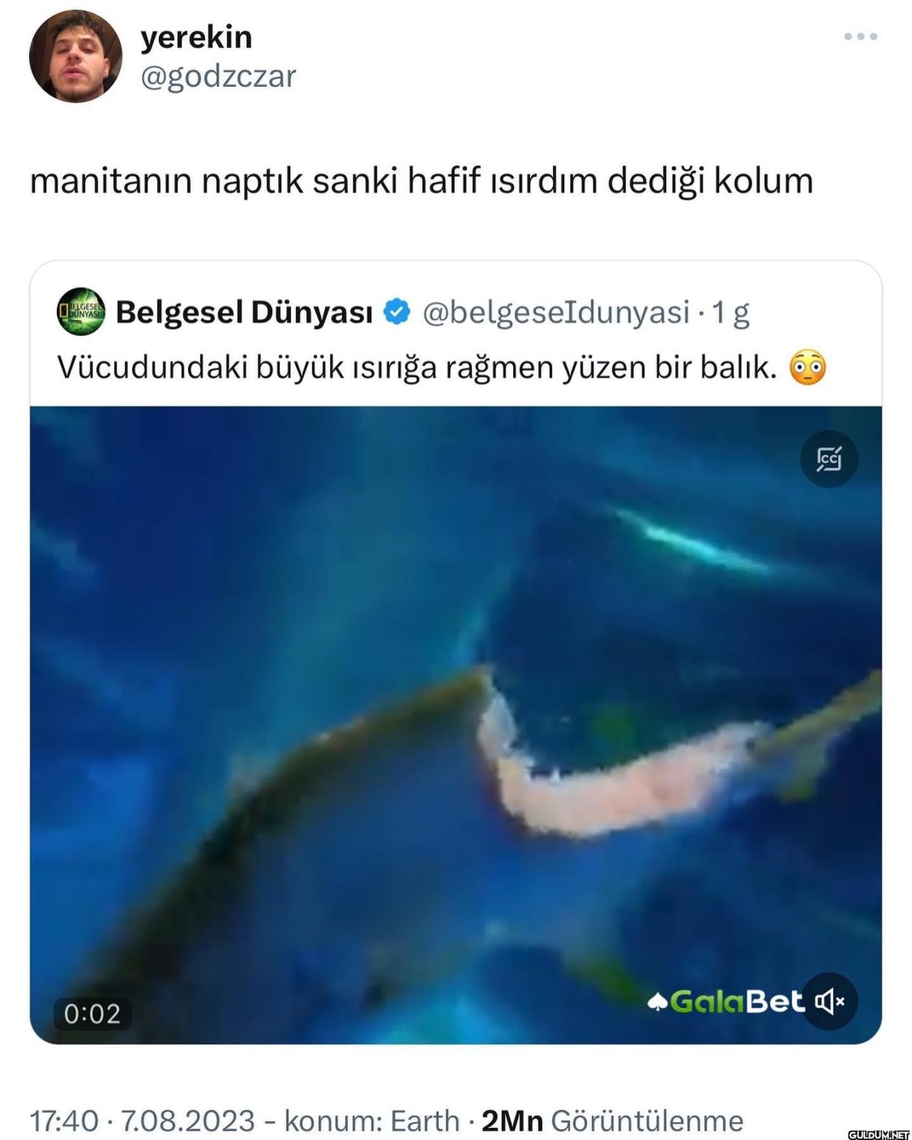 ÖDÖFÖMEFMEMDMFMÖEMFMÖFMFEMM...