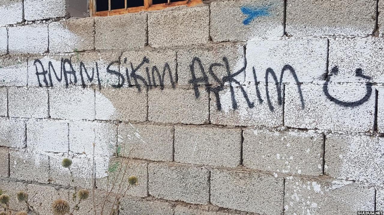 farukken on July 07, 2020....