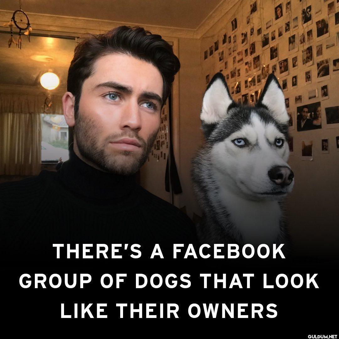 It's actually...