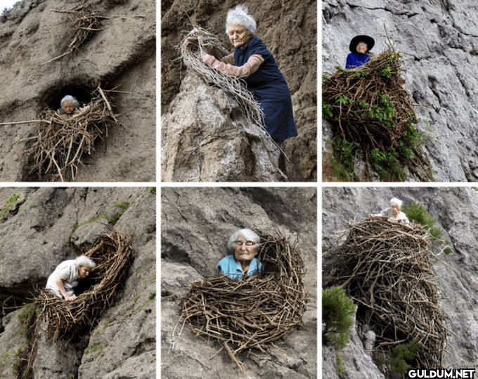 Old lady building her nest...