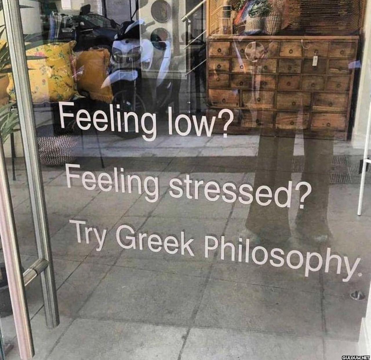 freud.intensifies on...