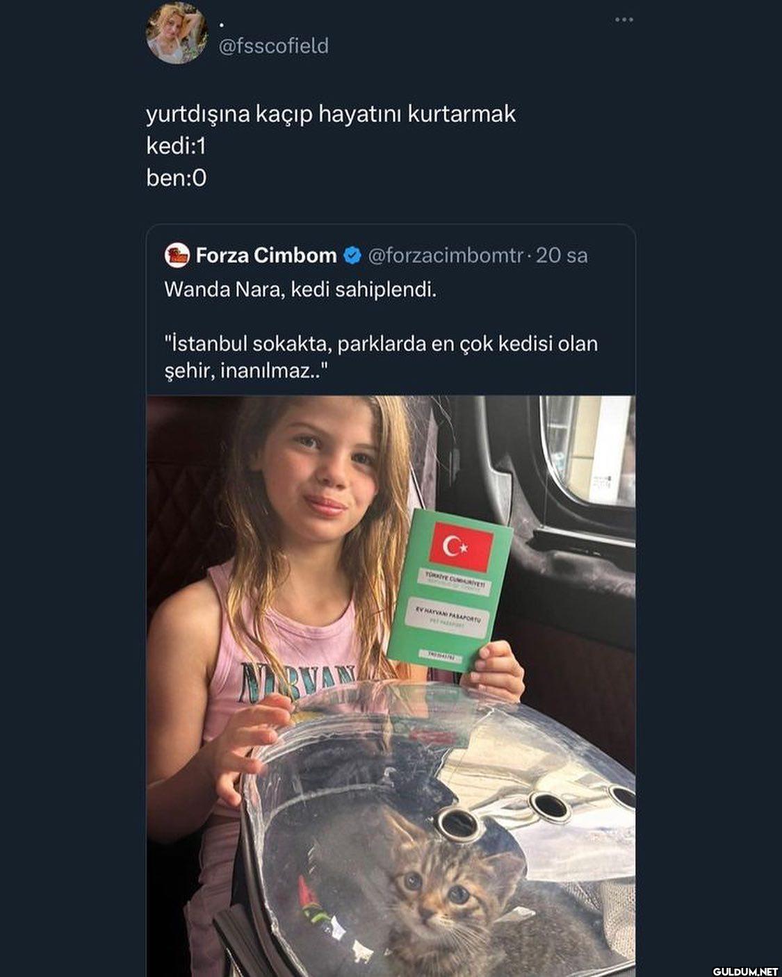 dil bilmez yol bilmez...