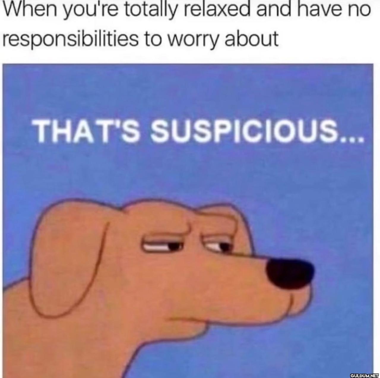 freud.intensifies on...