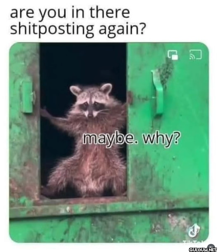 👀    are you in there...