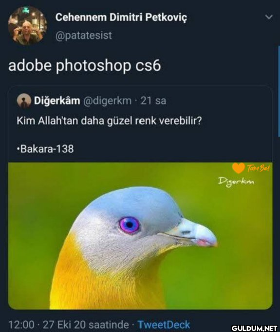 Cehennem Dimitri Petkoviç...