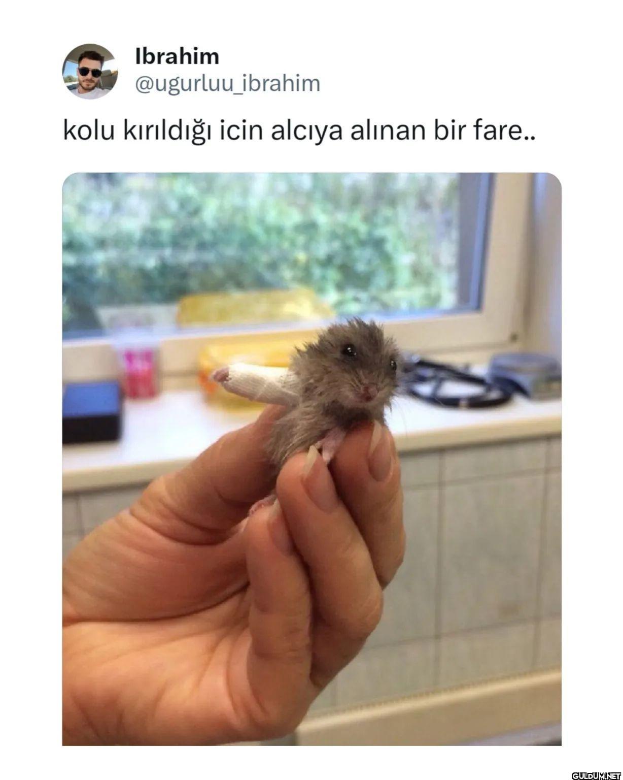 Cezmi Kalorifer on June...