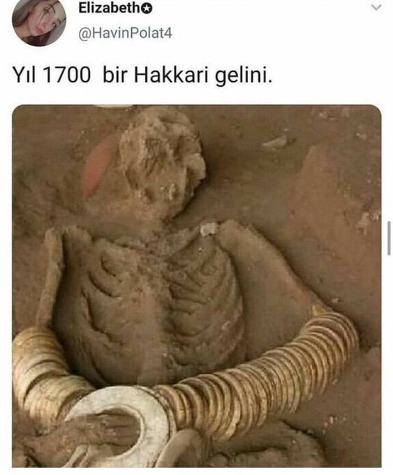 Elizabeth @HavinPolat4 Yıl...