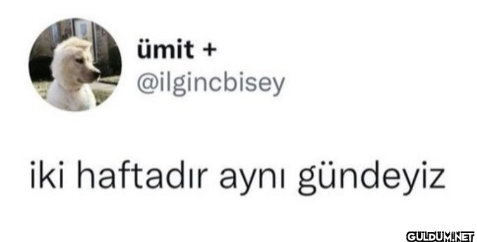 ümit + @ilgincbisey iki...