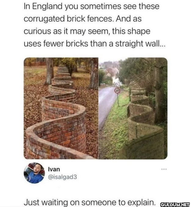 is this true?   In England...