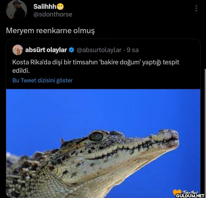 Salihhh @sdonthorse Meryem...