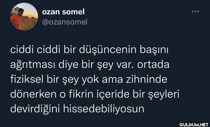 ozan somel @ozansomel...