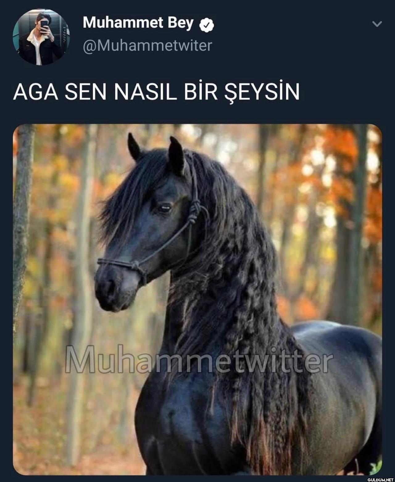 Muhammet Twitter on August...