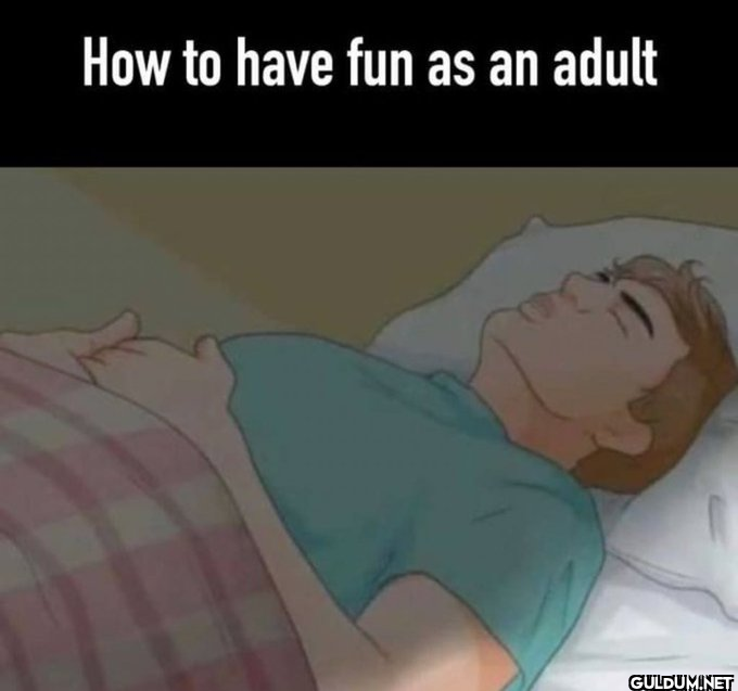 How to have fun as an...