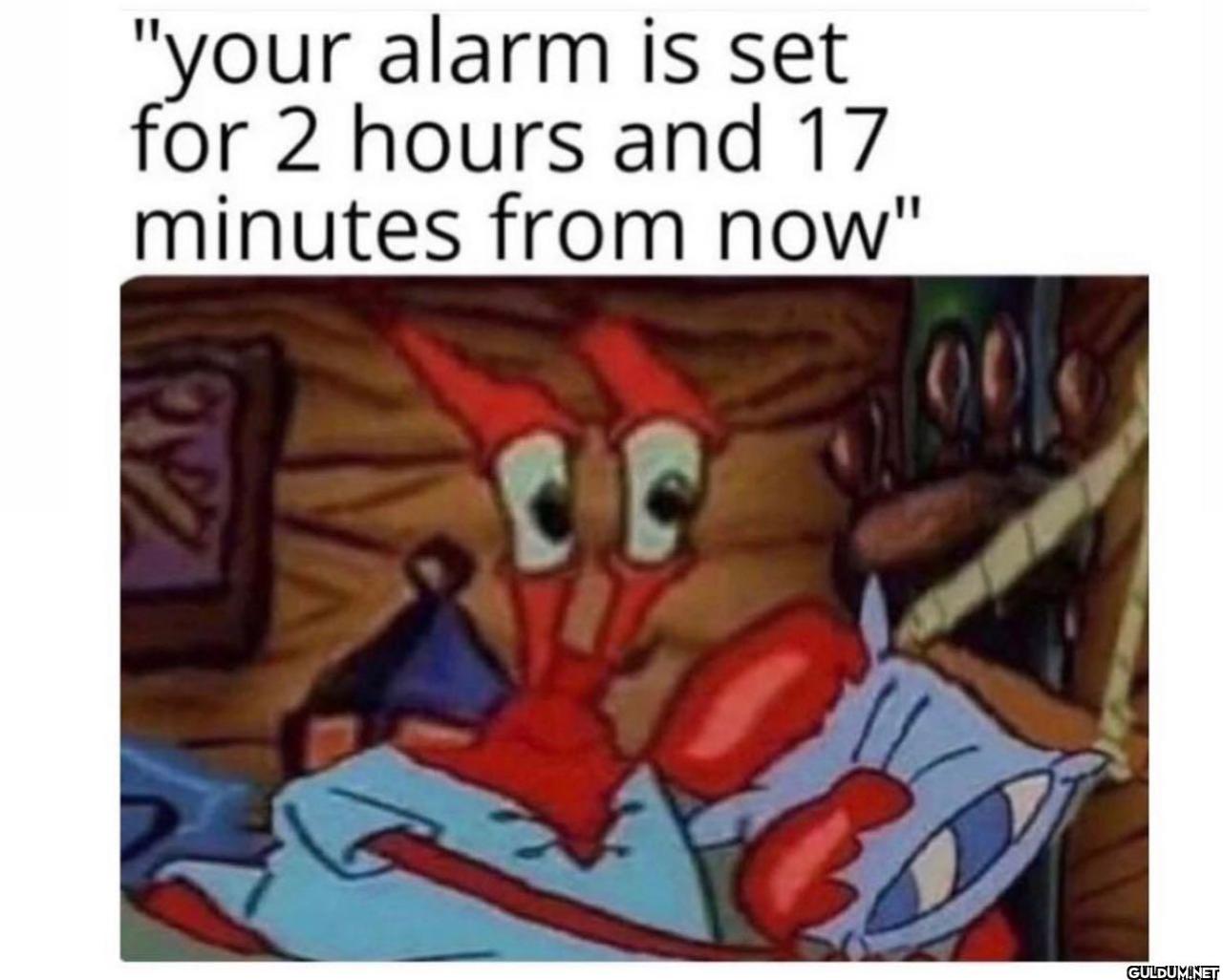 freud.intensifies on...