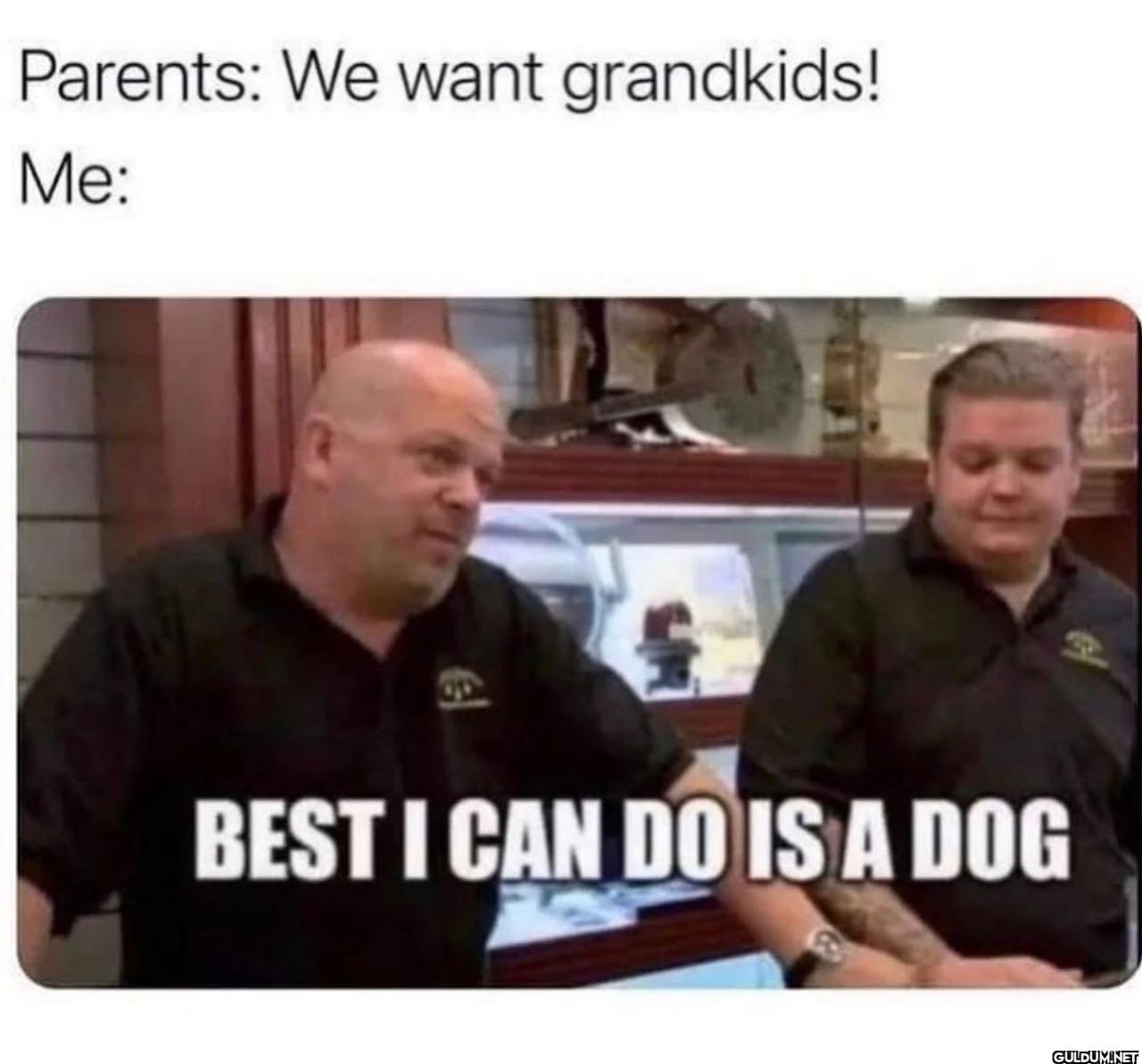 freud.intensifies on...