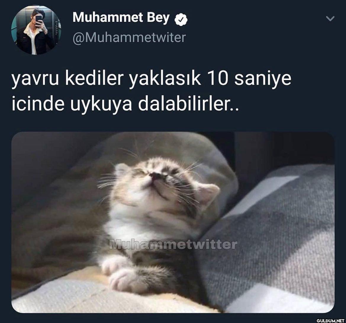 Muhammet Twitter on August...