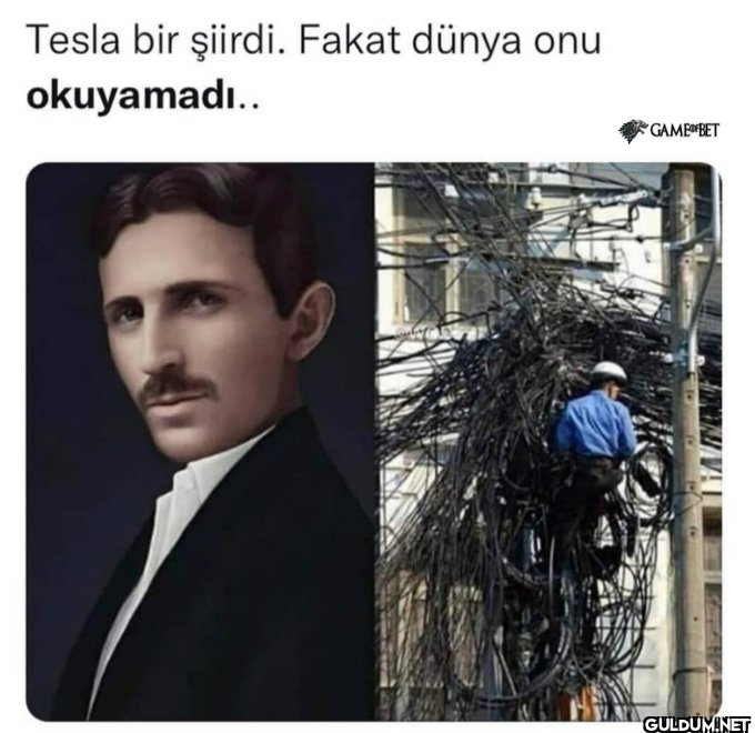 Tesla bir şiirdi. Fakat...