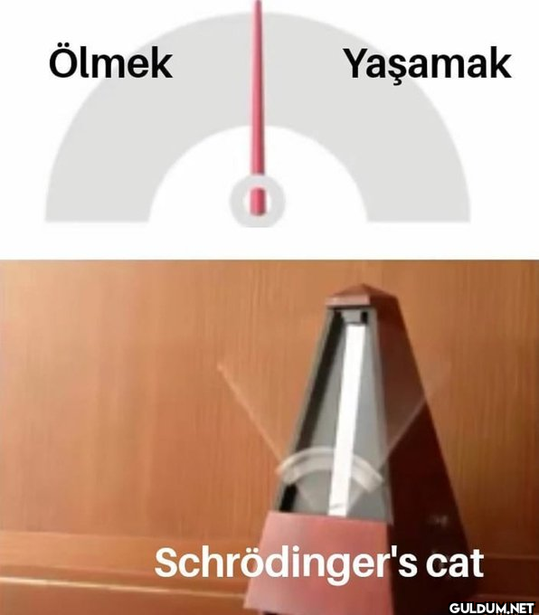 Ölmek Yaşamak...