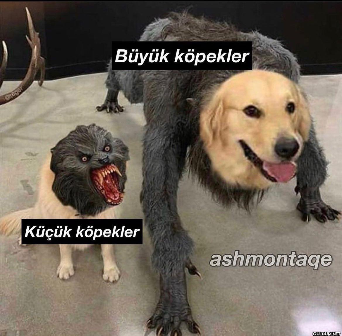 Photo shared by Tatsız Bir...