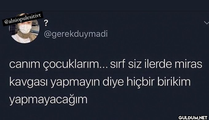 @alniopulesitivt...