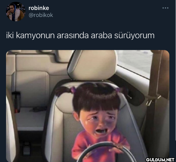 robinke @robikok iki...