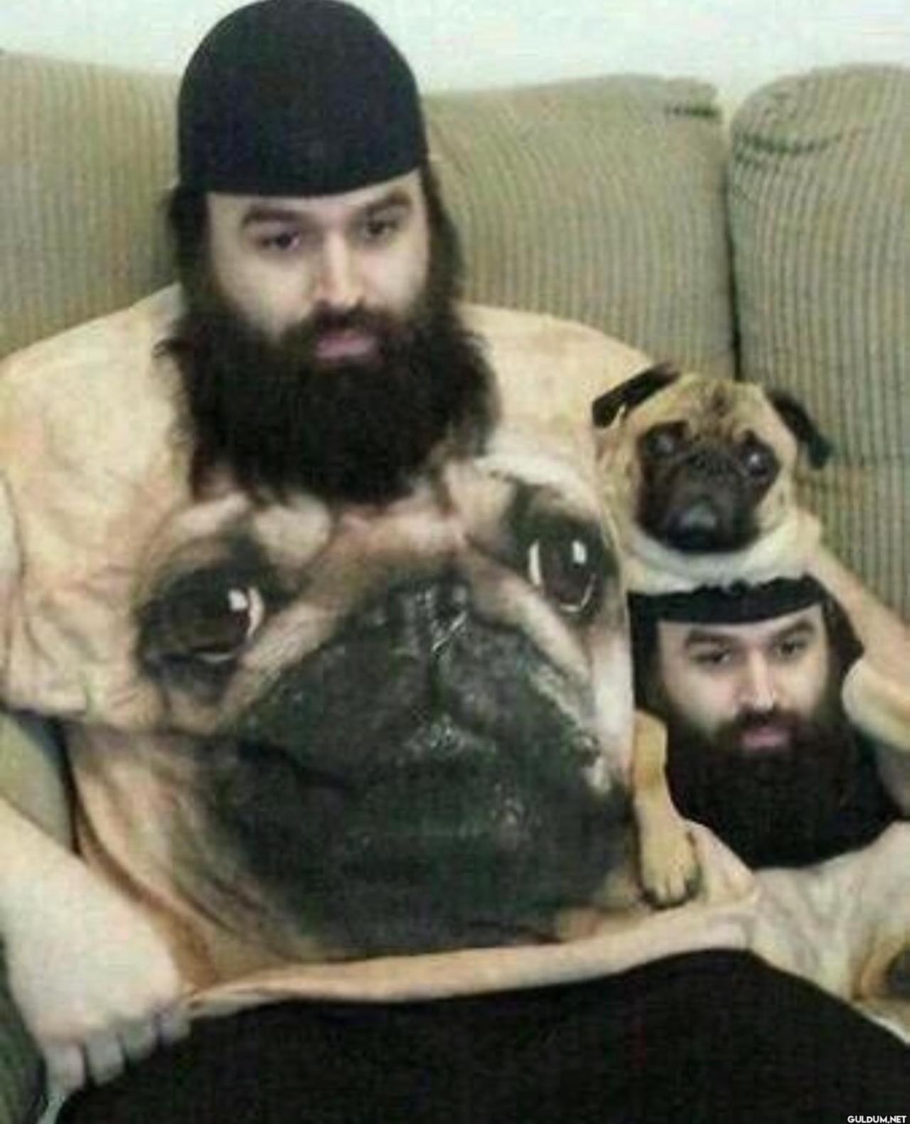 freud.intensifies on...