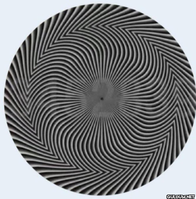 What numbers do you see? ...