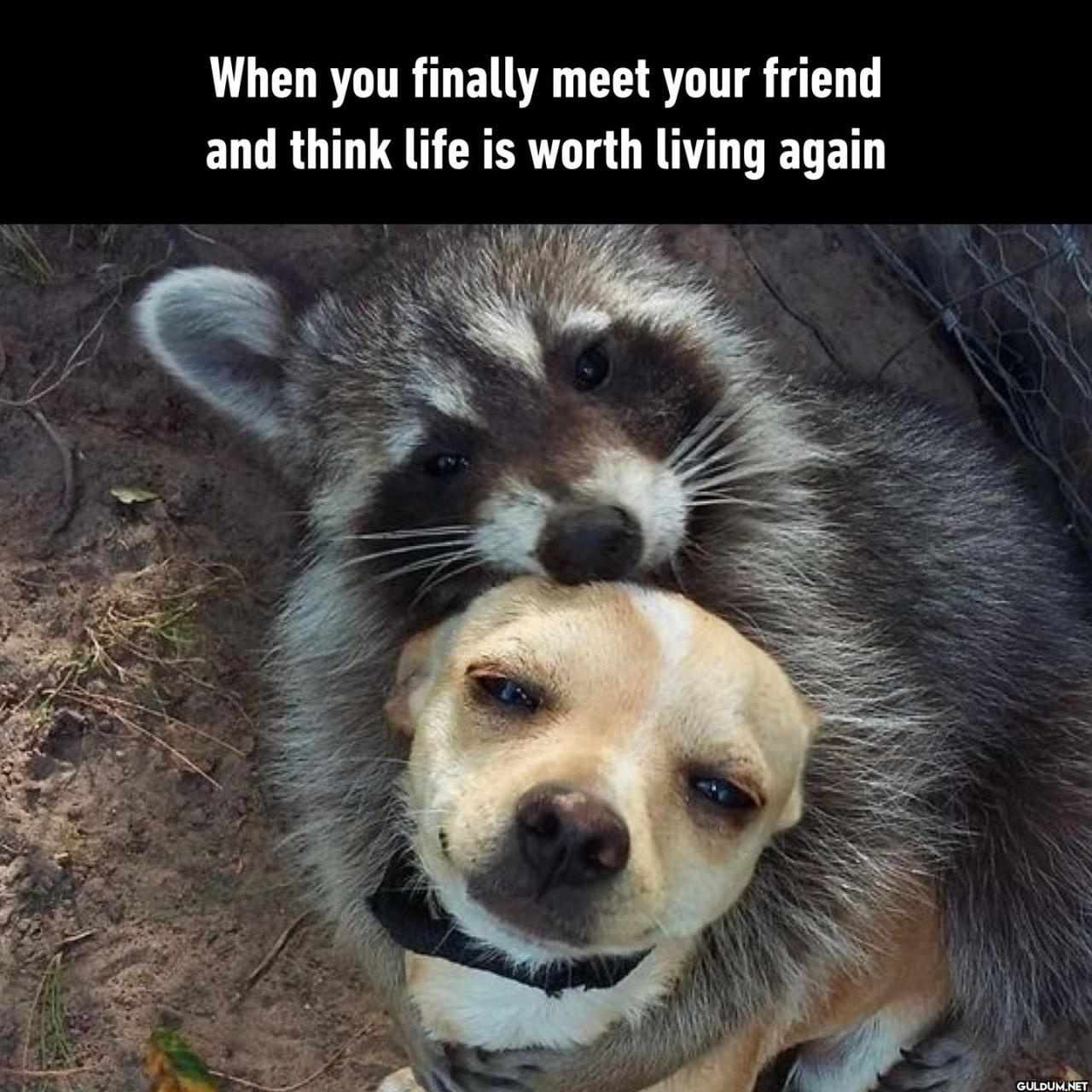9GAG: Go Fun The World on...