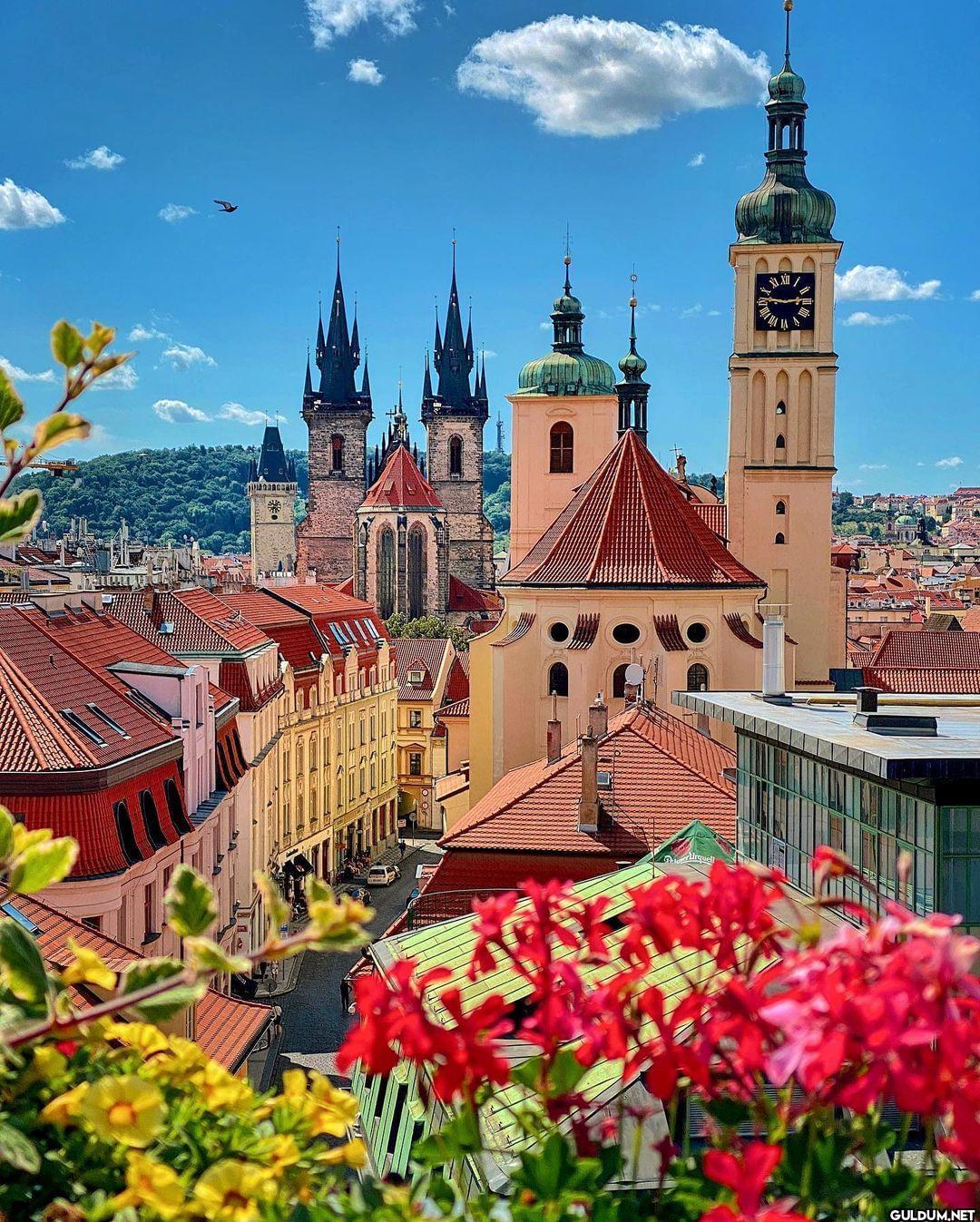 Postcards from Prague 🇨🇿...